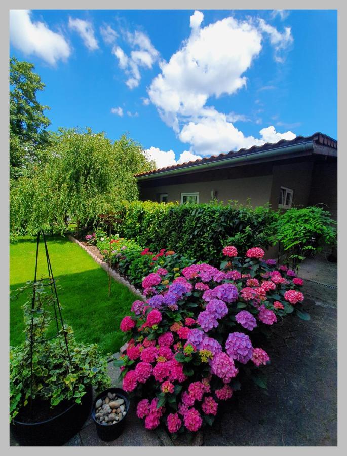 Kolev Apartments Kelsterbach Buitenkant foto